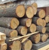 Acacia Wood Supplier in India
